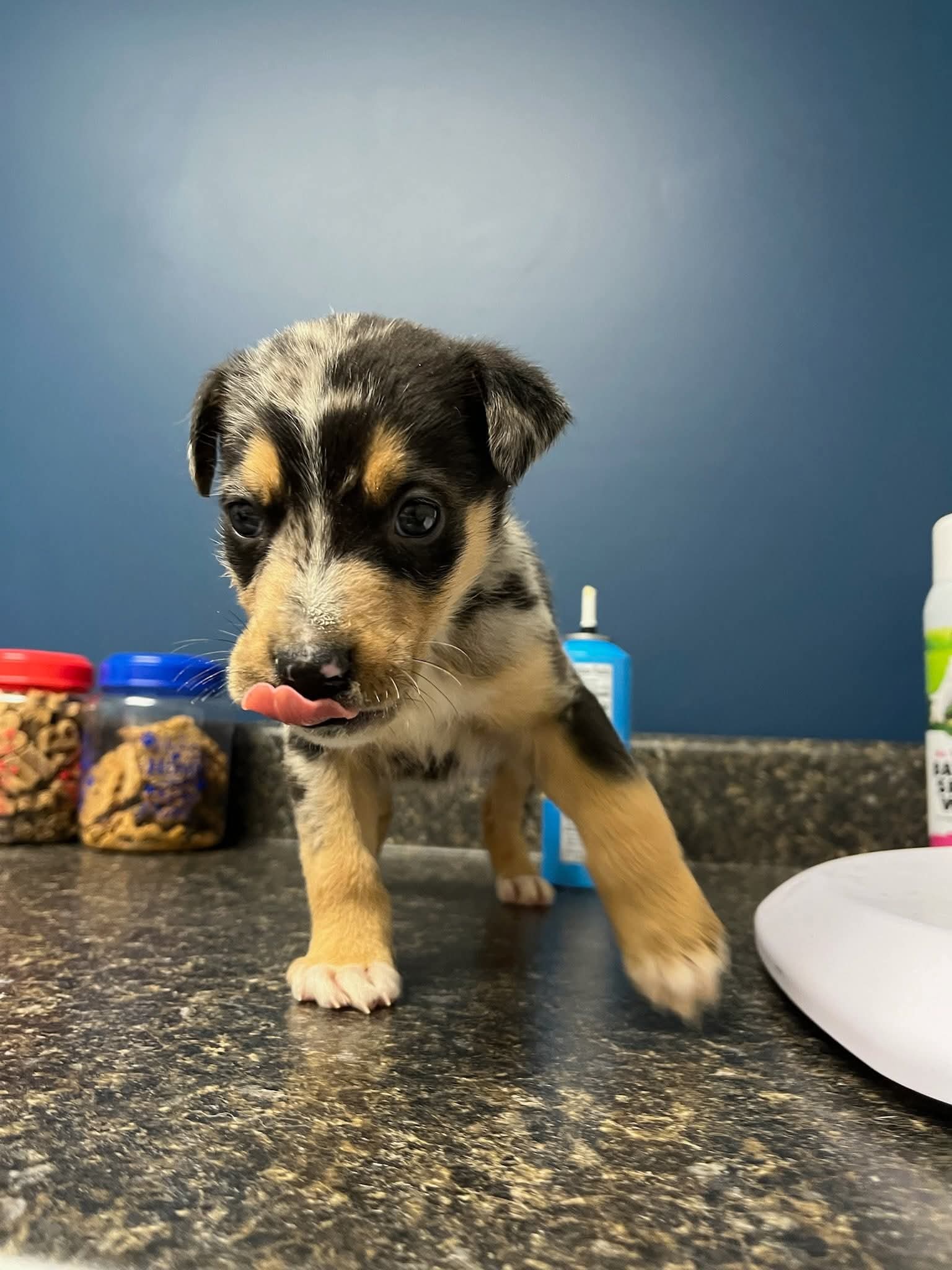 Nutritional Counseling Cynthiana, KY 