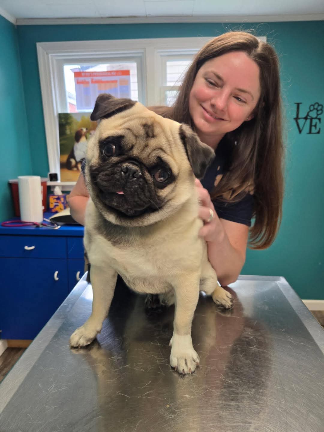 Spay and Neuter Cynthiana, KY 