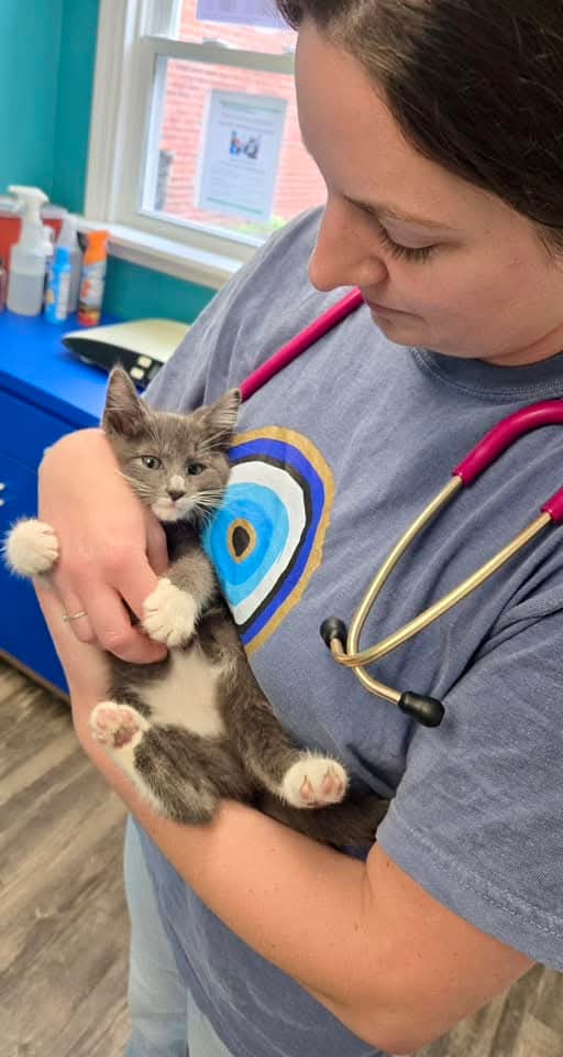 Emergency & Urgent Care Cynthiana, KY 