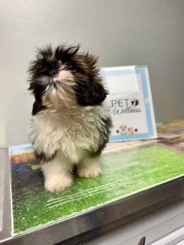 FB_IMG_1776972819981