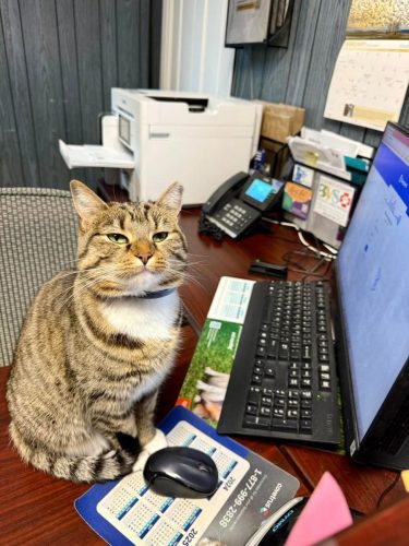 FB_IMG_1776972843585