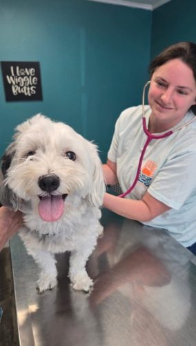 FB_IMG_1776972920686