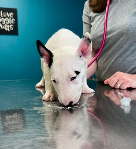 FB_IMG_1776972937994