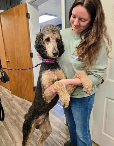 FB_IMG_1776972946520