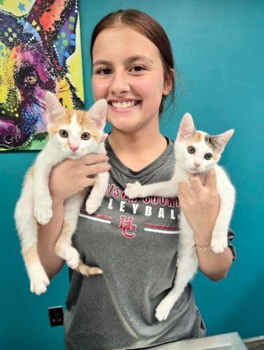 FB_IMG_1776972986190